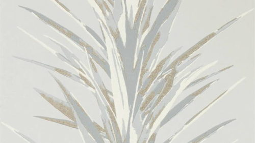 Yucca 216650